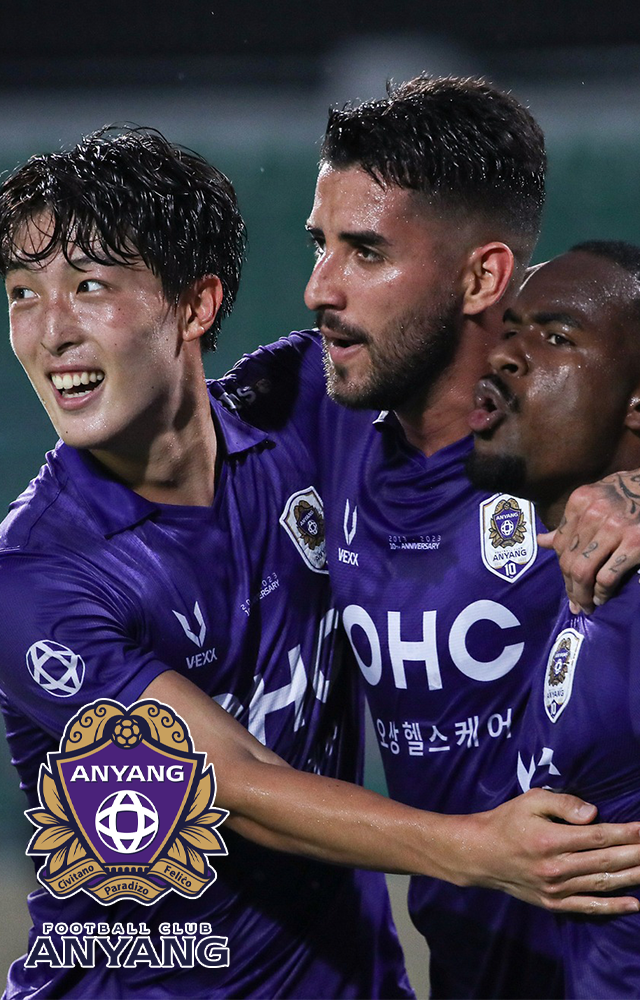 FC ANYANG LIMITED HOME KIT
